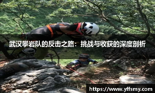 BSports网页版