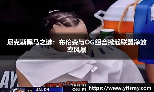 OB欧宝网站