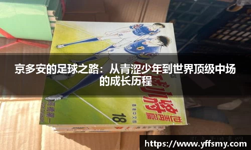 OB欧宝网站